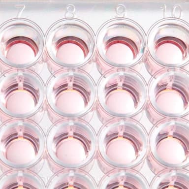 BioLite 48 Well Multidish