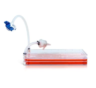Std Closed Cell Factory 2