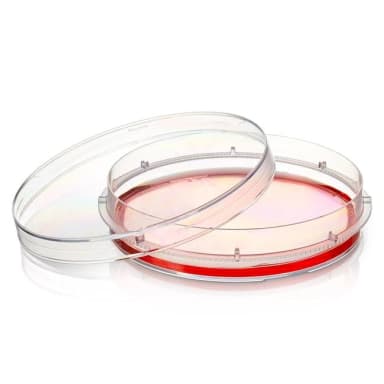 EASYDISH 100X15 SUPRA ST VENT