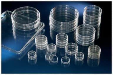 Cell Culture Dish w/Lid Vented Sterile PS 145 cm2 140 x 20 mm