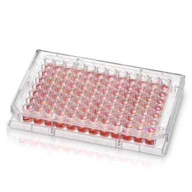 V96 MICROWELL BACTI PLATE, LID, S