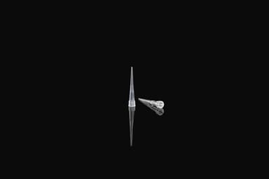 10µl Pipette Tips, Clear, Non-Sterile, Refills, 960/pk, 9600/cs