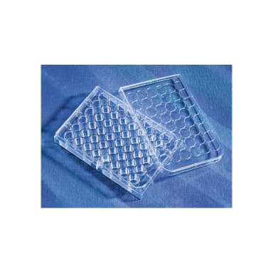 Corning CellBIND 48 Well Multiple Well Plates, Flat Bottom, Clear, with Lid, Sterile