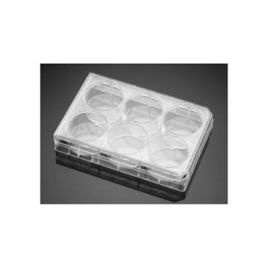 Falcon 6 Well-CLear Flat Bottom, Not Tissue Culture Treated Multiwell Plate with Lid, Sterile, Individually Packaged, 50/Case