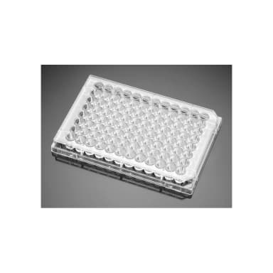 Falcon 96 Well-CLear Flat Bottom Not Treated Cell Culture Plate, with Lid, Individually Wrapped, Sterile, 50/Case