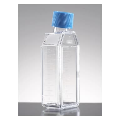 Falcon 25cm² Rectangular Canted Neck Cell Culture Flask with Blue Plug Seal Screw Cap