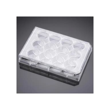 Falcon 12 Well-CLear Flat Bottom, Tissue Culture-Treated Multiwell Cell Culture Plate, with Lid, Non-Pyrogenic, Sterile, Individually Wrapped, 50/Case