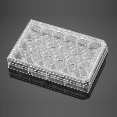 Corning BioCoat Matrigel Matrix 24 Well Clear Flat Bottom Multiwell Plate, with Lid, 2/Case
