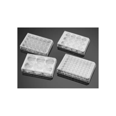 Corning BioCoat Collagen I 12 Well Clear Flat Bottom TC-Treated Multiwell Plate with Lid, 5/Pack, 5/Case