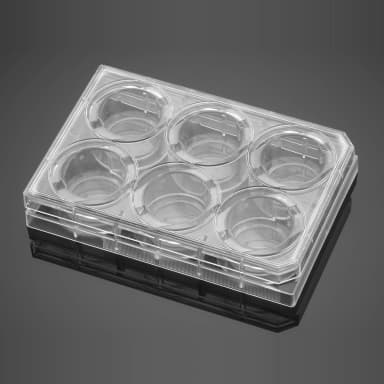 Corning BioCoat Matrigel Matrix Thin Layer 6 Well Clear Flat Bottom TC-Treated Multiwell Plate with Lid, 5/Pack, 5/Case