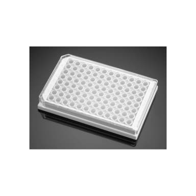 Corning BioCoat Poly-D-Lysine 96 Well White/Clear Flat Bottom TC-Treated Microplate, with Lid, 5/Case