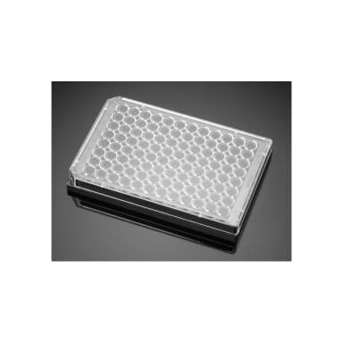 Corning PureCoat Amine 96 Well Black/Clear Flat Bottom Plate, 5/Case