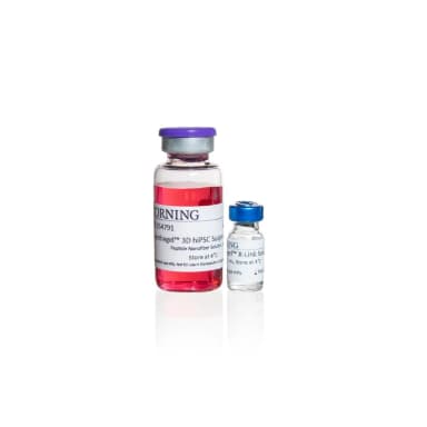 Corning Synthegel 3D hiPSC Suspension Matrix Kit, 16 mL