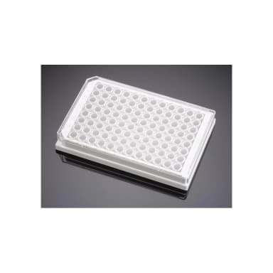 Corning BioCoat Poly-D-Lysine 96 Well White/Clear Flat Bottom Microplate, 20/Pack, 80/Case