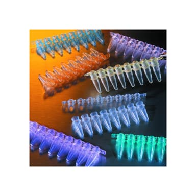 Thermowell GOLD PCR 1 x 8 Cap Strips, Domed, Assorted Colors