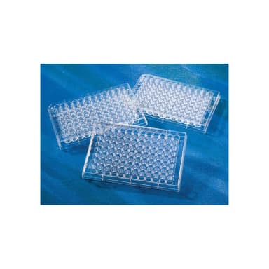 Corning 96 Well Clear V-Bottom Polystyrene Not Treated Microplate, 25 per Bag, without Lid, Nonsterile