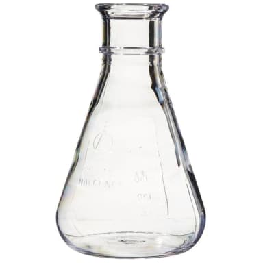 Flask Erlenmeyer Graduated PC 250 mL