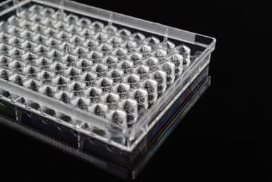 96 Well Cell Culture Plate, V-bottom, TC, sterile 1/pk, 100/cs