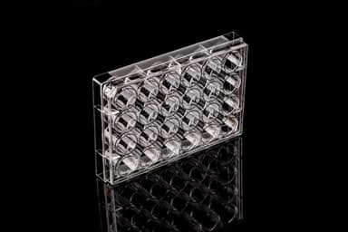 24 Well Cell Culture Plate, Flat, Non-Treated, sterile 1/pk, 50/cs