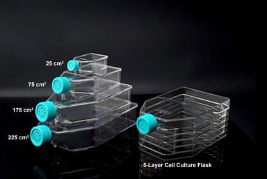225cm2 Cell Culture Flask, Vent Cap, TC, sterile 5/pk, 25/cs