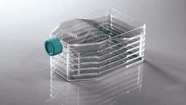 5-Layer Cell Culture Flask, Plug Seal Cap,Straight Neck, TC, sterile 1/