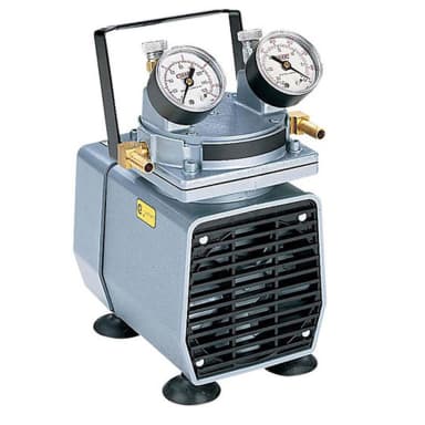 Gast Vacuum Pressure Pump, 220V