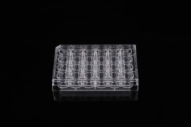 24 Well Glass Bottom Cell Culture Plate,¦ 10mm,TC, sterile 1/pk, 10/cs