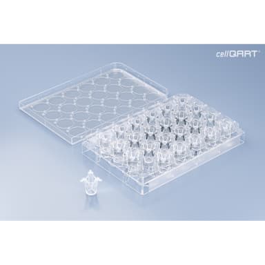 cellQART 24-Well Cell Culture Insert Pre-loaded in Well Plate, PET, 0.4um, Clear, 4 Well Plates/pk