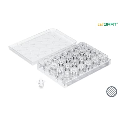 cellQART 24-Well Cell Culture Insert Pre-loaded in Well Plate, PET, 0.4um, Clear extended culture, 4 Well Plates/pk