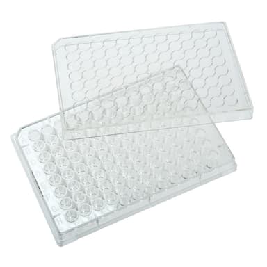 Multiple Well Plates – Non-treated