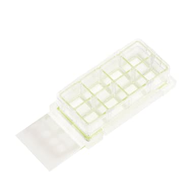 8 Chamber Cell Culture Slide, Glass, Sterile