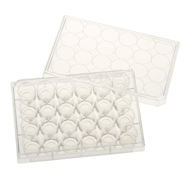 Multiple Well Plates – TCT, Glass Bottom