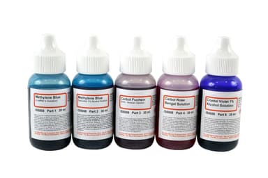 Bacteria Stain Chemicals Innovating Science