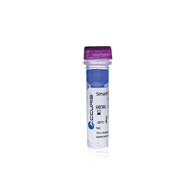 SmartCheck™ DNA Ladder - 1kb DNA Ladder 5 x 500ul / 500 lanes