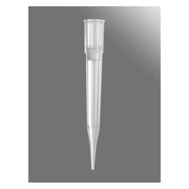Axygen 300µL Universal Fit Filter Tips, Clear, Non-Sterile, Bulk Pack, 1000 Tips/Pack, 10 Packs/Case.