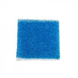 BIOPSY FOAM BLUE 1 1/8", 10PK/1000