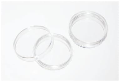 BioLite 100mm TC Dish