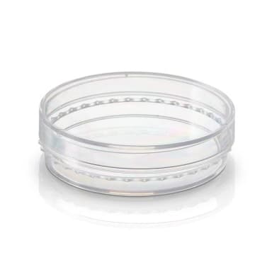 BioLite 150mm TC Dish