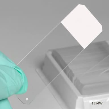 Microscope Slides, Diamond White Glass, 25 x 75mm, Charged, 45 Beveled Edges, Safety Corners, White Frosted, 72/Box, 20 Boxes/Case (10 Gross)