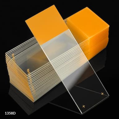 Microscope Slides, Diamond White Glass, 25 x 75mm, Charged, 90 Ground Edges, Gold Frosted, 72/Box, 20 Boxes/Case (10 Gross)