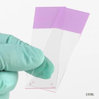 Microscope Slides, Diamond White Glass, 25 x 75mm, Charged, 90 Ground Edges, Lilac Frosted, 72/Box, 20 Boxes/Case (10 Gross)