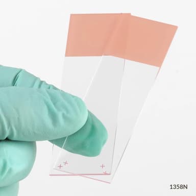 Microscope Slides, Diamond White Glass, 25 x 75mm, Charged, 90 Ground Edges, Orange Frosted, 72/Box