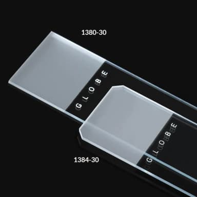 Microscope Slides, Diamond White Glass, 25 x 75mm, 45 Beveled Edges, Clipped Corners, Frosted: 1 End, 2 Sides, 72/Box, 20 Boxes/Case (10 Gross)