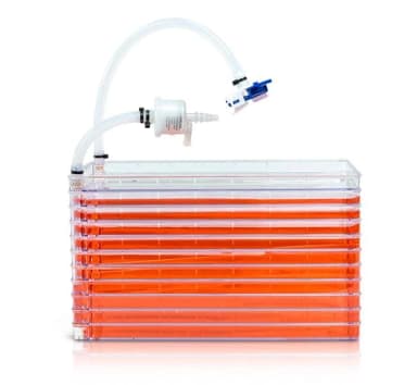 Std Closed Cell Factory 10