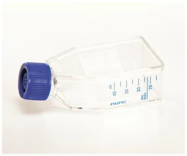 EasY Flask Nunclon 7ml working vol Angled Neck Filter Cap PS Sterile 25 cm2