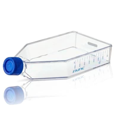 EASYFLASK T175 SUPRA V/CCAP ST