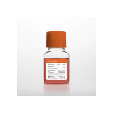 Corning® 100 mL Accutase® Cell Detachment Solution, Liquid