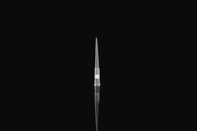 20µl Filtered Pipette Tips, Clear, Sterile, Box, 960/pk, 4800/cs