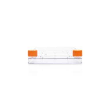 Corning CellSTACK, 1-layer Polystyrene vessel with Vent Caps, TC treated Growth Surface, Sterile, 1 per bag, 8 per case