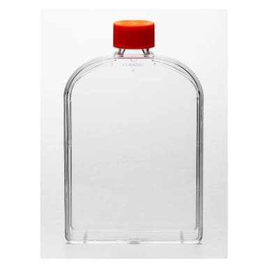 Corning CellBIND 175cm Canted Neck Cell Culture Flask with Vent Cap